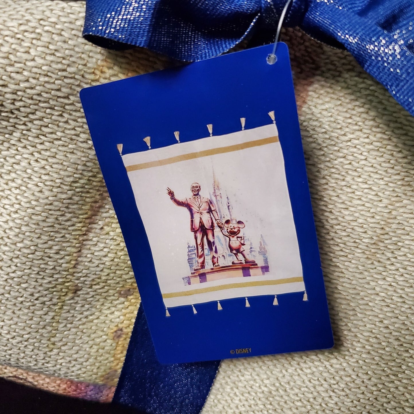2021 Walt Disney World Parks 50th Celebration Partners Mickey Walt Castle Throw