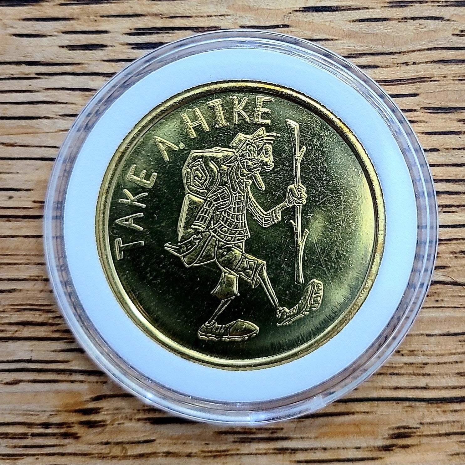 Disney Parks Ft. Wilderness Campground Goofy Hiking Collectible Coin Medallion