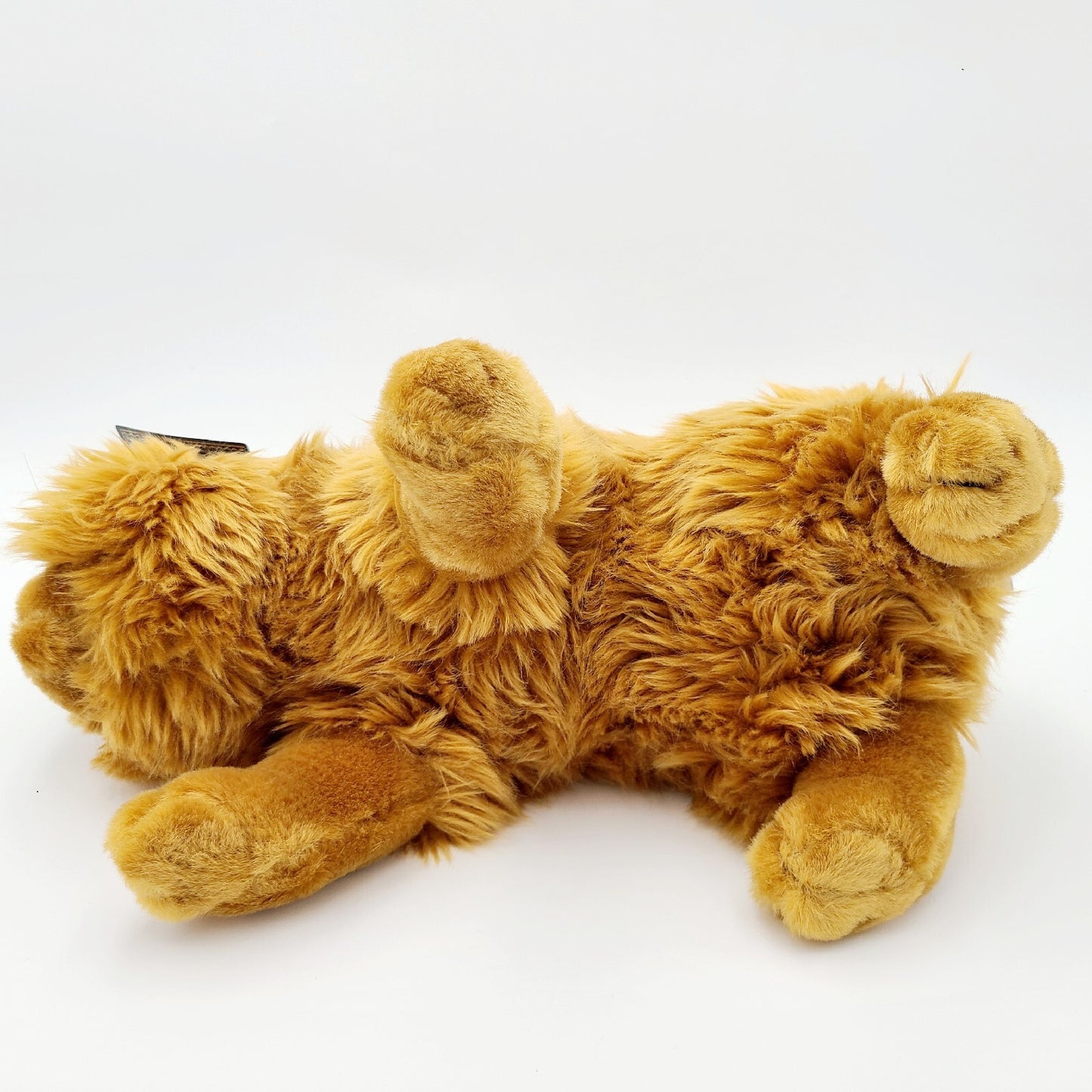 Universal Studios Park Wizarding Harry Potter Crookshanks Cat 14" Plush Toy Doll
