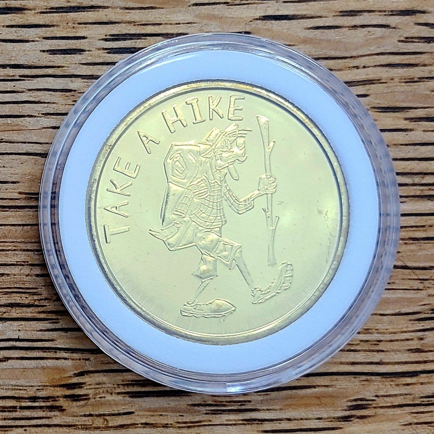 Disney Parks Ft. Wilderness Campground Goofy Hiking Collectible Coin Medallion