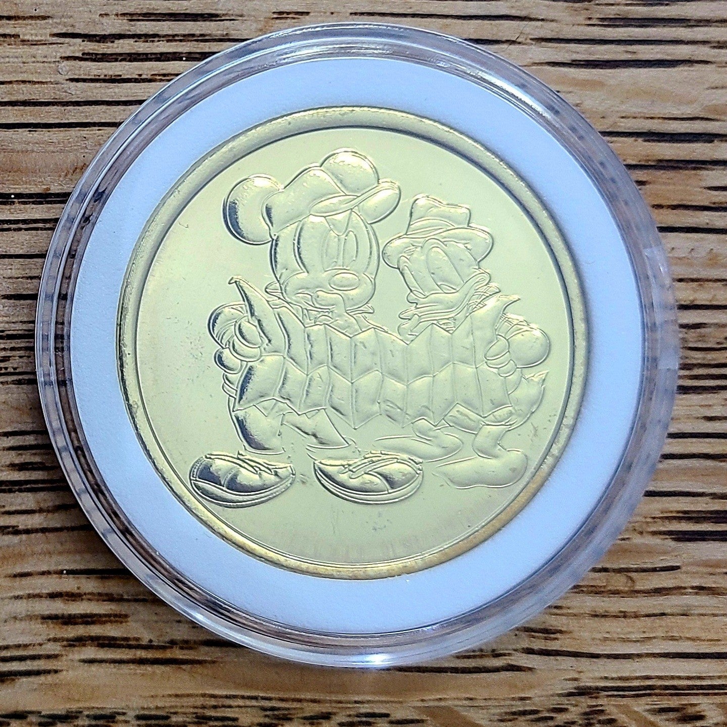 Disney Parks Wilderness Campground Mickey Donald Map Collectible Coin Medallion