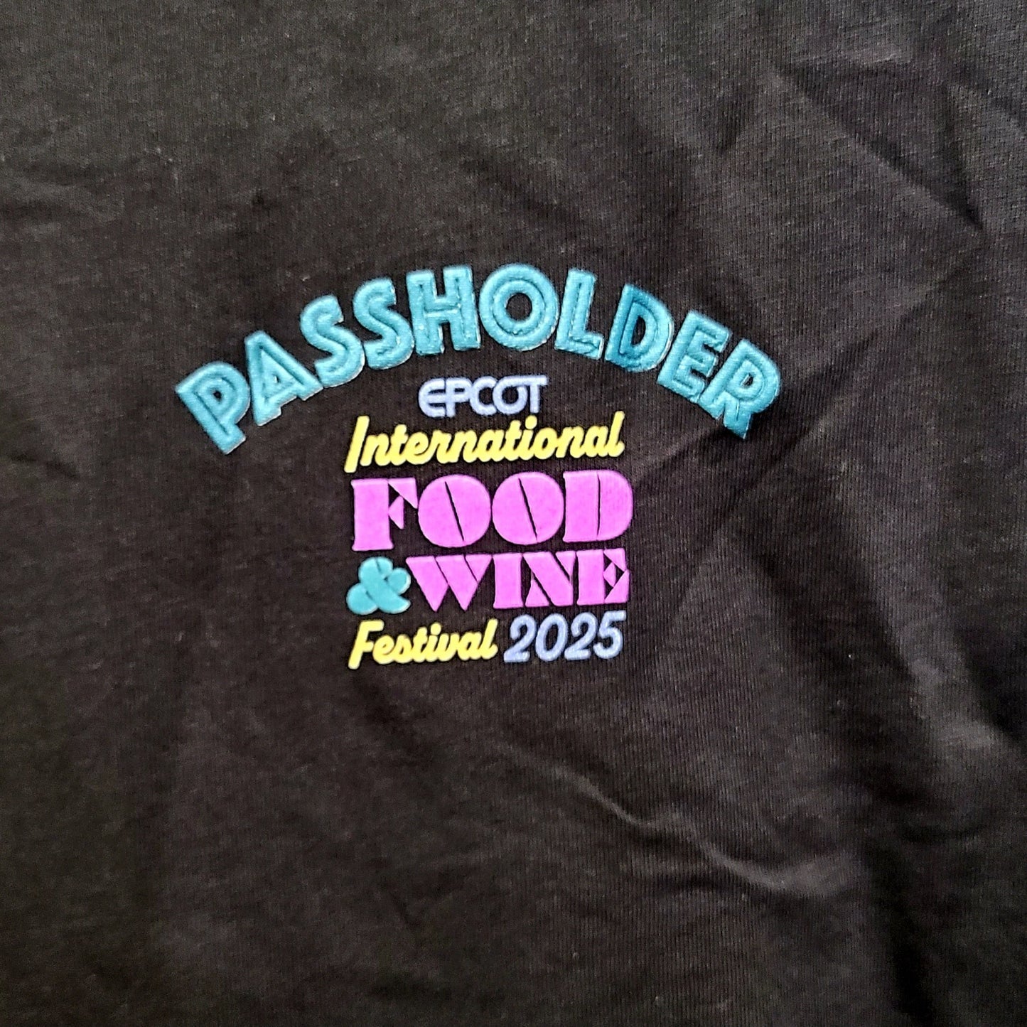 LARGE Disney Parks Shirt 2025 Epcot Food & Wine Festival Passholder Logo Black L