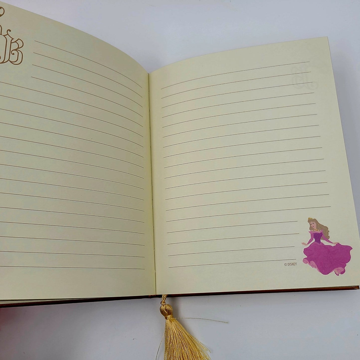*Sleeping Beauty MINI Journal* 2025 Walt Disney World Parks Classic Princess NEW