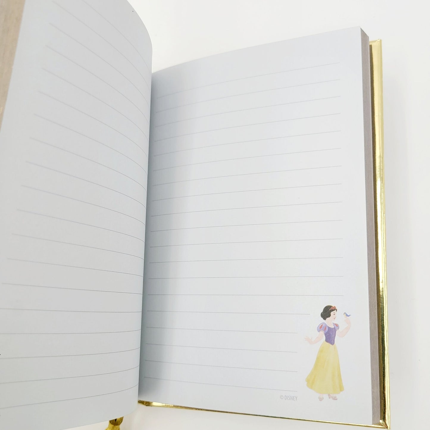 *3 MINI Journal Set* 2025 Disney Parks Classic Princess Cinderella Snow Beauty