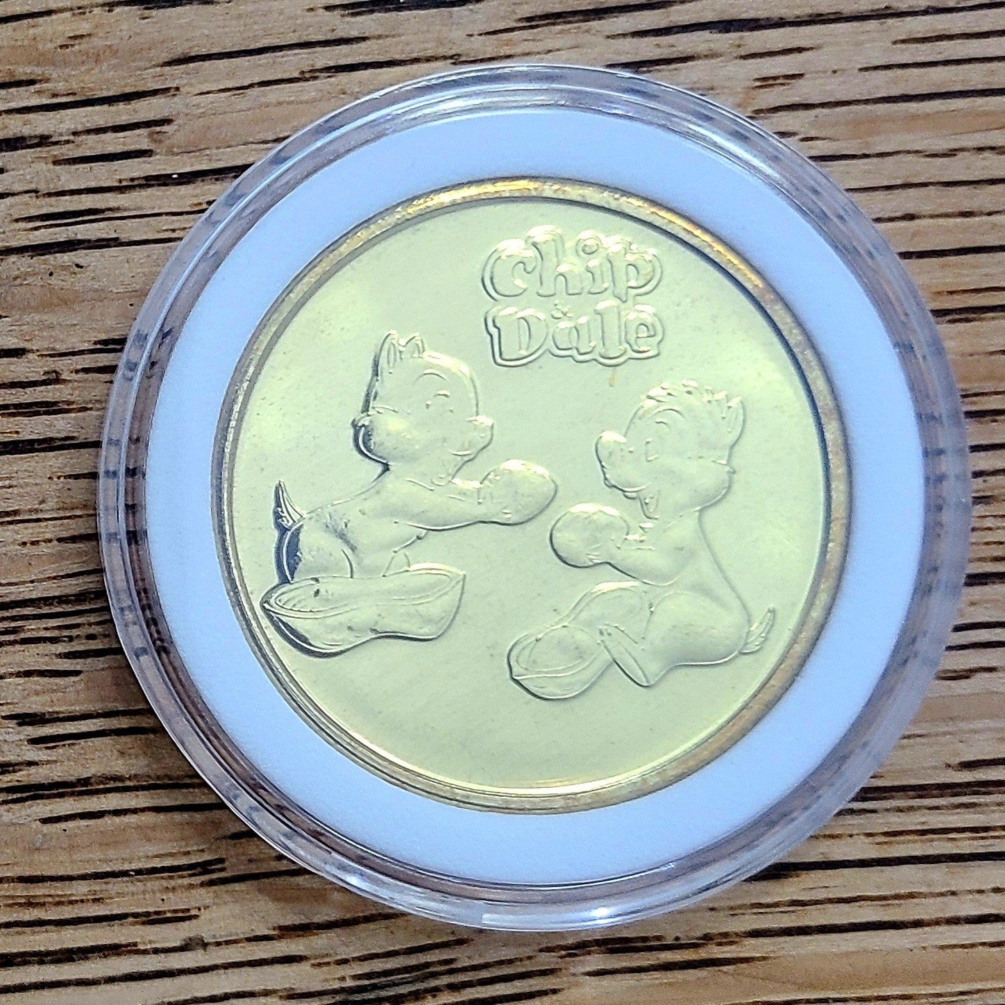 Disney Parks Ft. Wilderness Campground Chip 'n Dale Collectible Coin Medallion