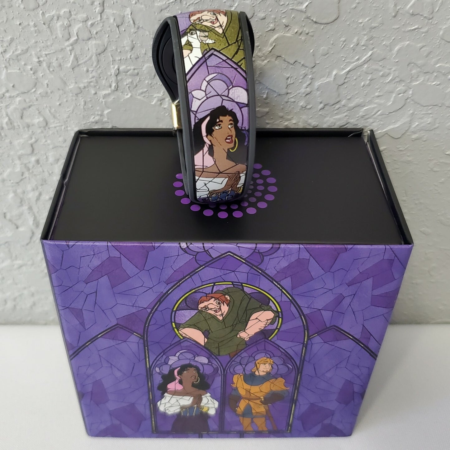 2021 Disney Parks The Hunchback Of Notre Dame Magic Band Dooney & Bourke LE1560