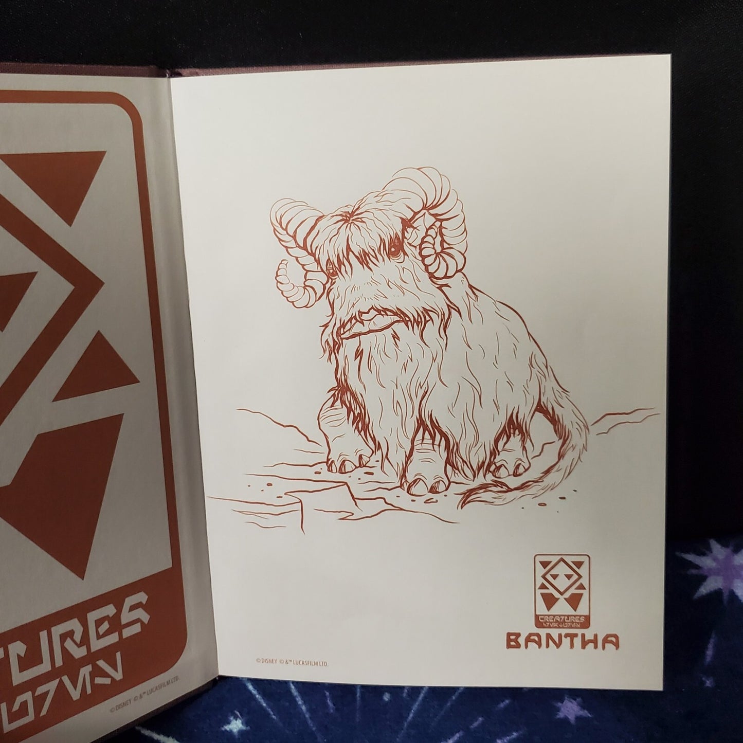 Disney Parks Creatures Notebook Journal Book Star Wars Galaxy's Edge Bantha Gorg