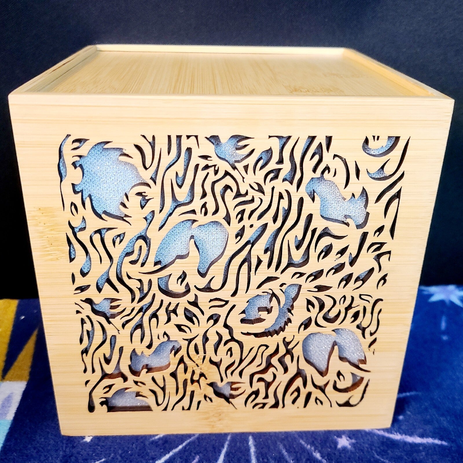 NEW 2023 Disney Parks Animal Kingdom 25th Anniversary Wood Light Up Cube Box