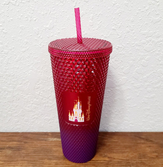 2023 Walt Disney World Parks Cinderella Castle Starbucks Studded 24 oz Tumbler
