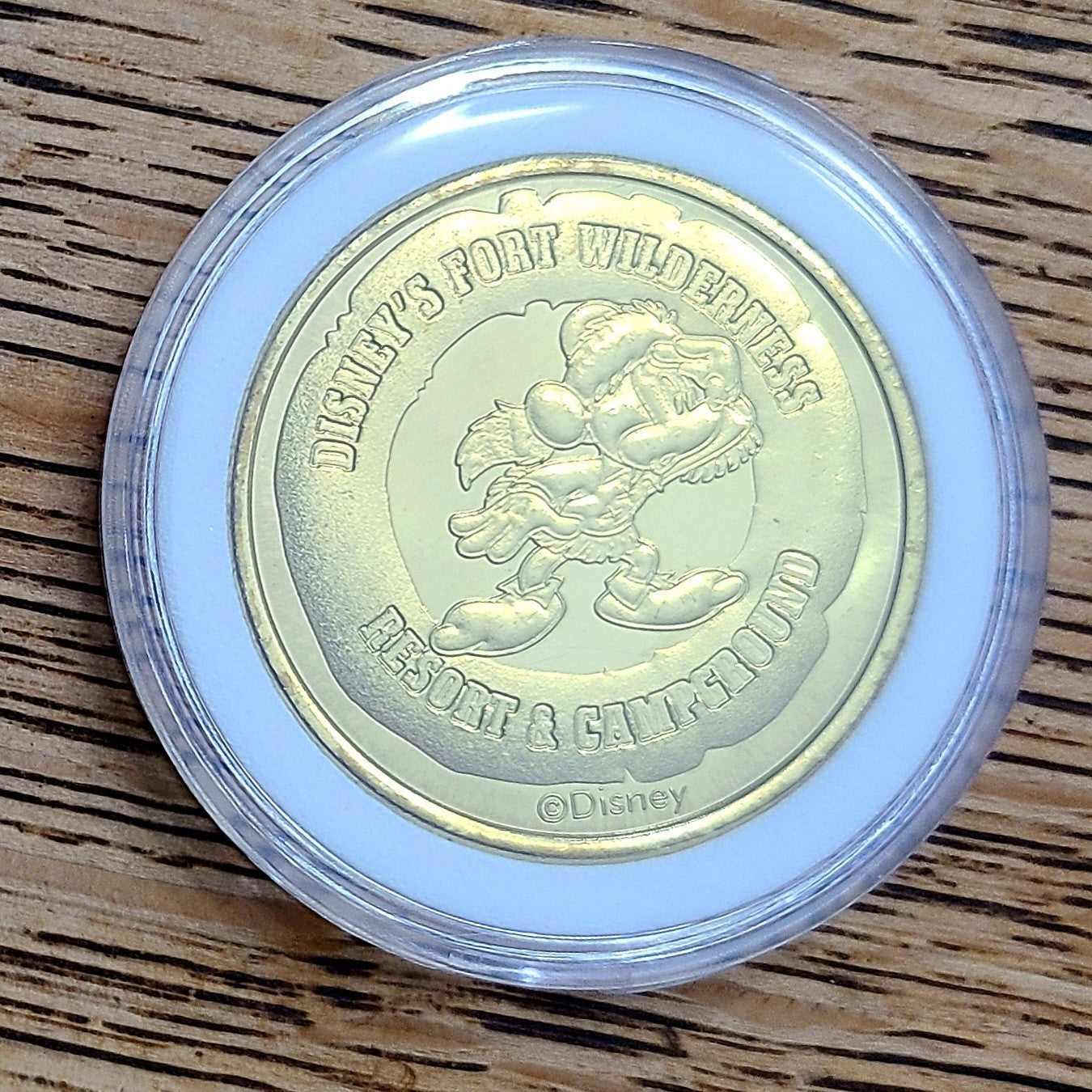 Disney Parks Wilderness Campground Mickey Donald Map Collectible Coin Medallion