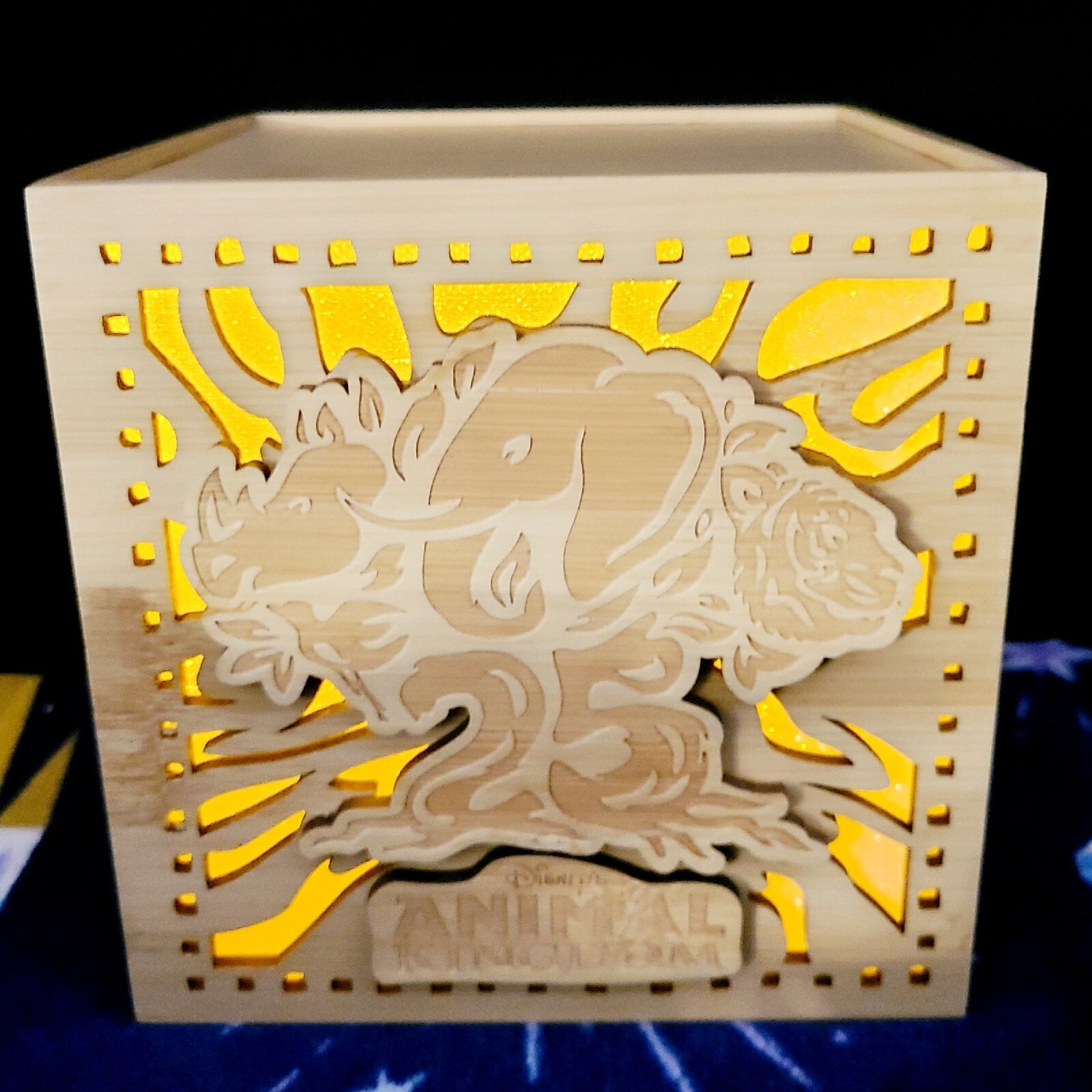 NEW 2023 Disney Parks Animal Kingdom 25th Anniversary Wood Light Up Cube Box