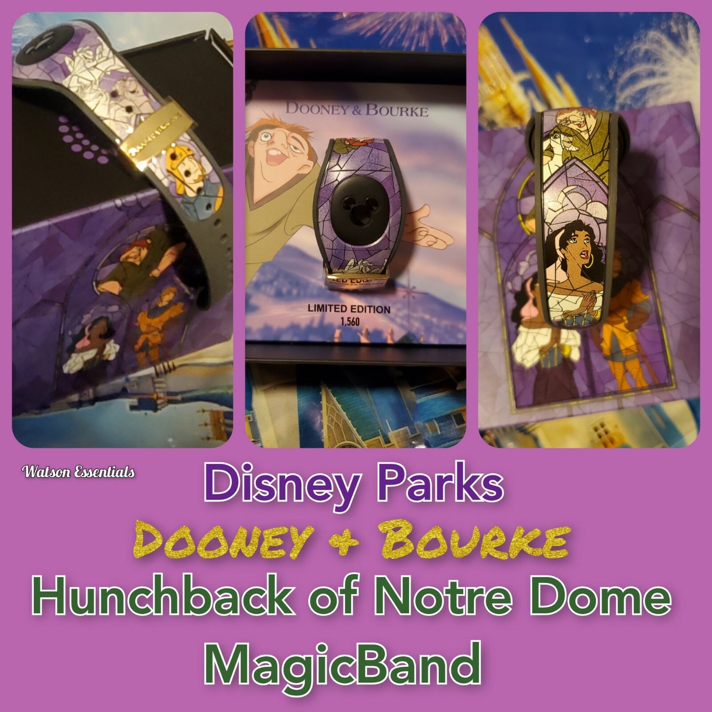 2021 Disney Parks The Hunchback Of Notre Dame Magic Band Dooney & Bourke LE1560