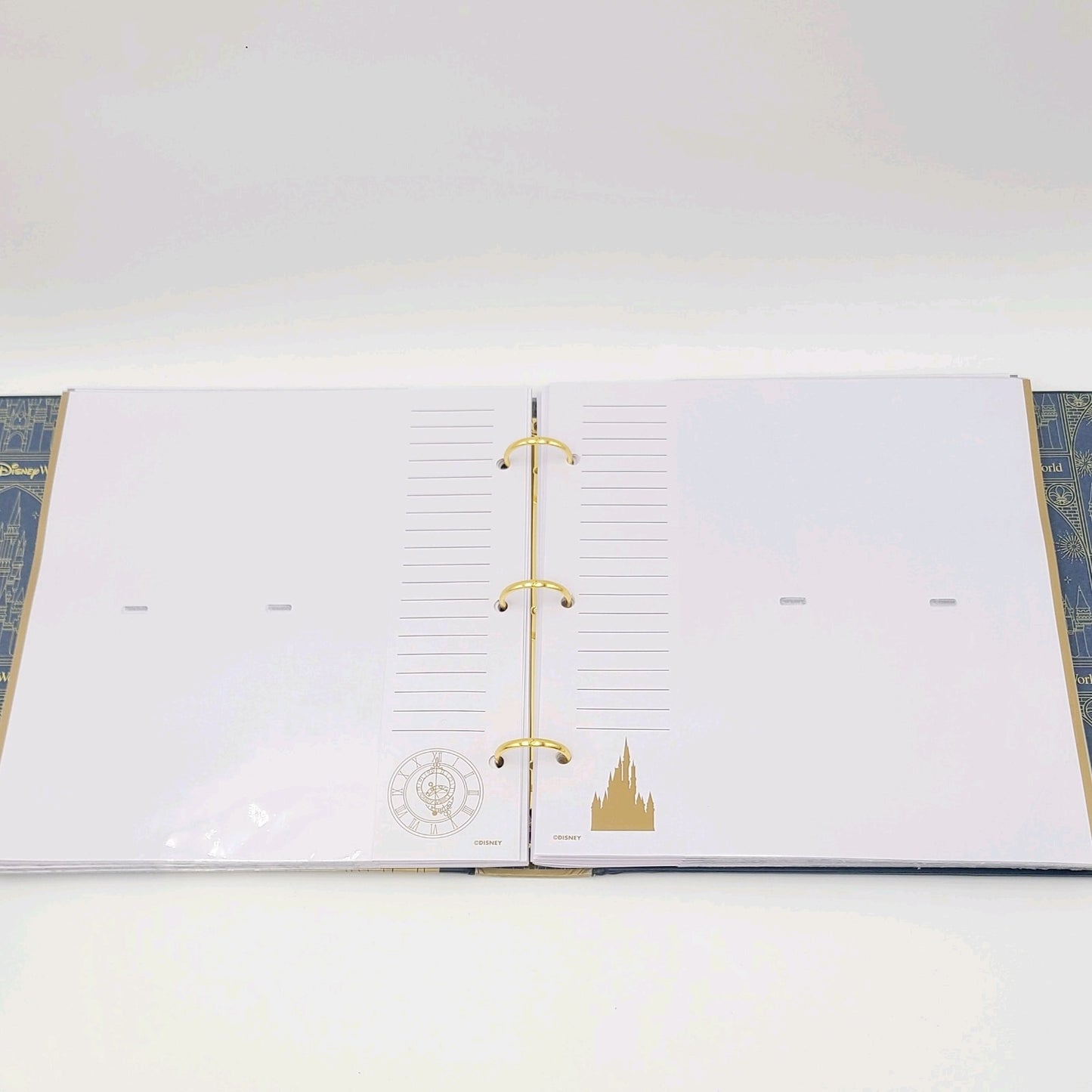 READ DESC 2025 Walt Disney World Parks Gold Fireworks Photo Album Castle Picture