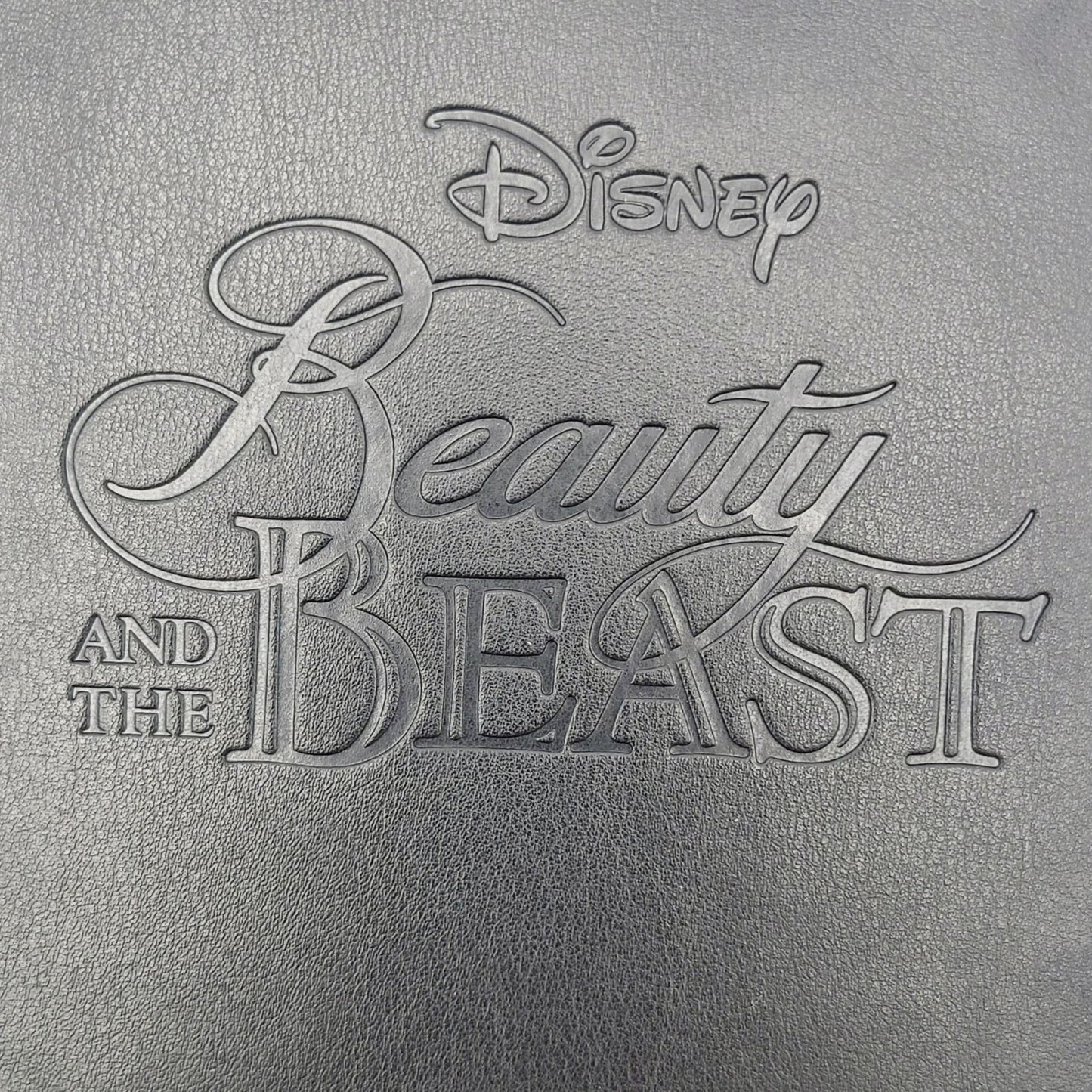 *Beauty & The Beast MINI Journal* 2025 Disney Parks Classic Princess Belle NEW