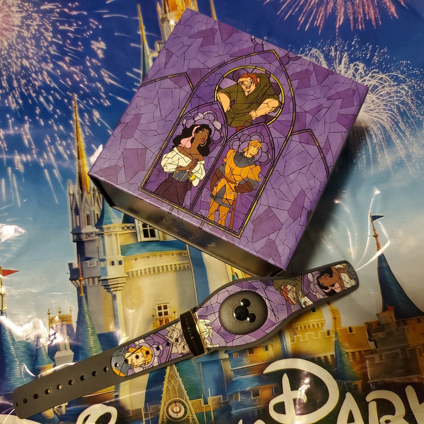 2021 Disney Parks The Hunchback Of Notre Dame Magic Band Dooney & Bourke LE1560