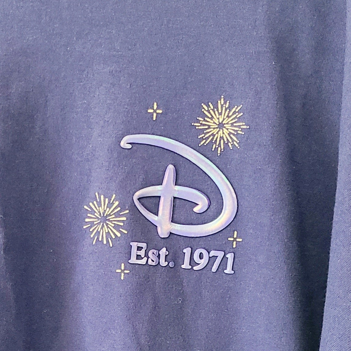 LARGE 2025 Disney Parks Walt Disney World Magic Kingdom Castle Spirit Jersey WDW