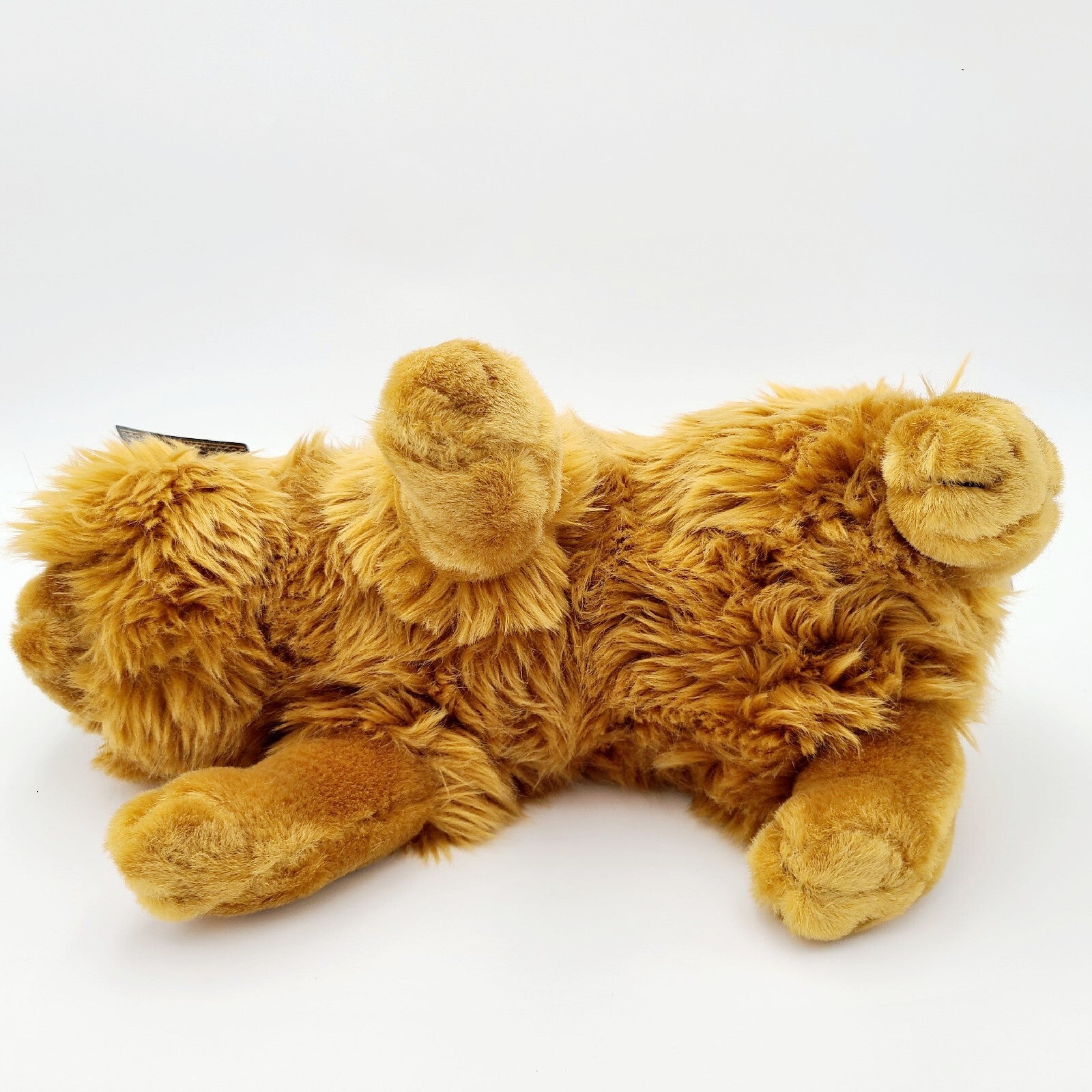 Universal Studios Park Wizarding Harry Potter Crookshanks Cat 14" Plush Toy Doll