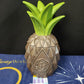 Walt Disney World Parks Polynesian Resorts 50th Anniv Pineapple Tiki Mug Sipper