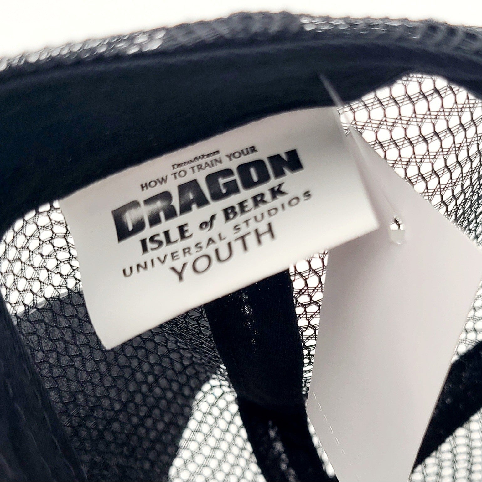 *YOUTH Hat* Universal Studios EPIC How to Train Your Dragon Toothless Ball Cap 