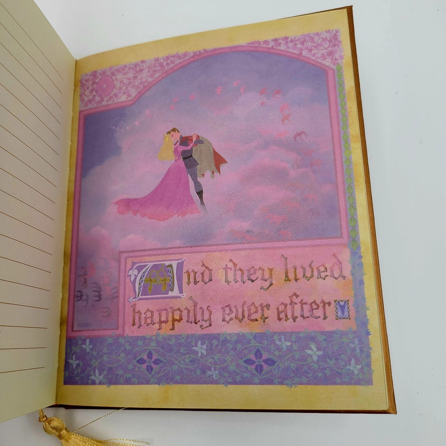 *Sleeping Beauty MINI Journal* 2025 Walt Disney World Parks Classic Princess NEW
