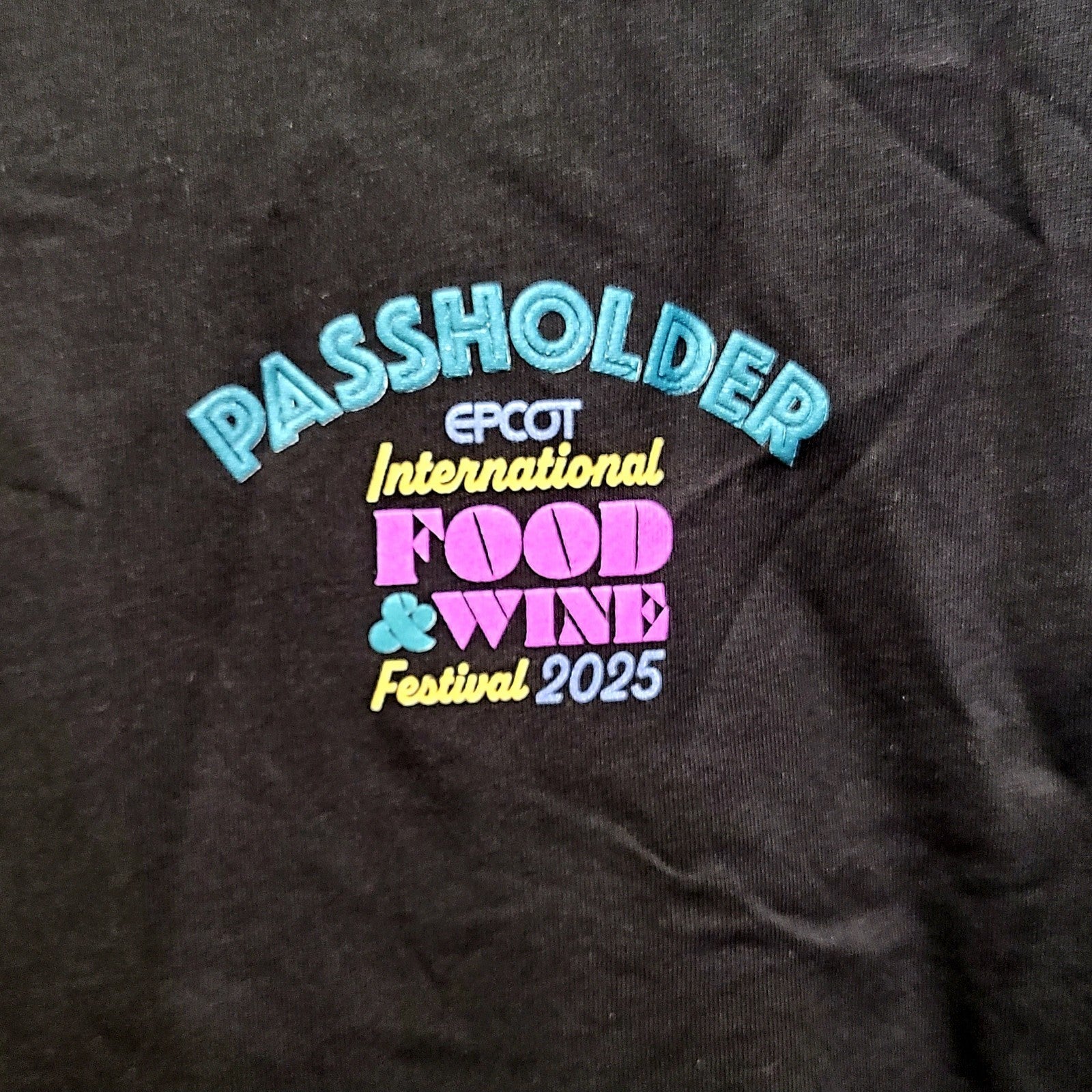 LARGE Disney Parks Shirt 2025 Epcot Food & Wine Festival Passholder Logo Black L