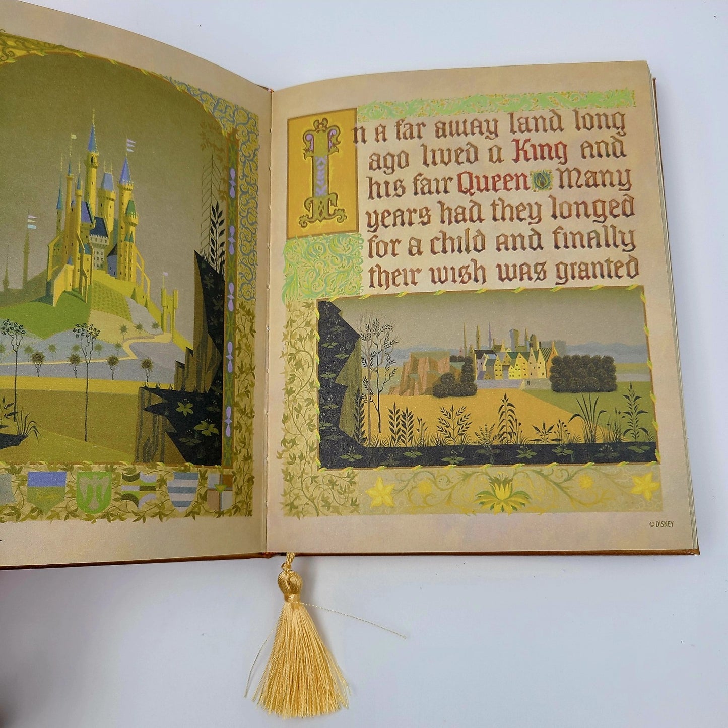 *Sleeping Beauty MINI Journal* 2025 Walt Disney World Parks Classic Princess NEW