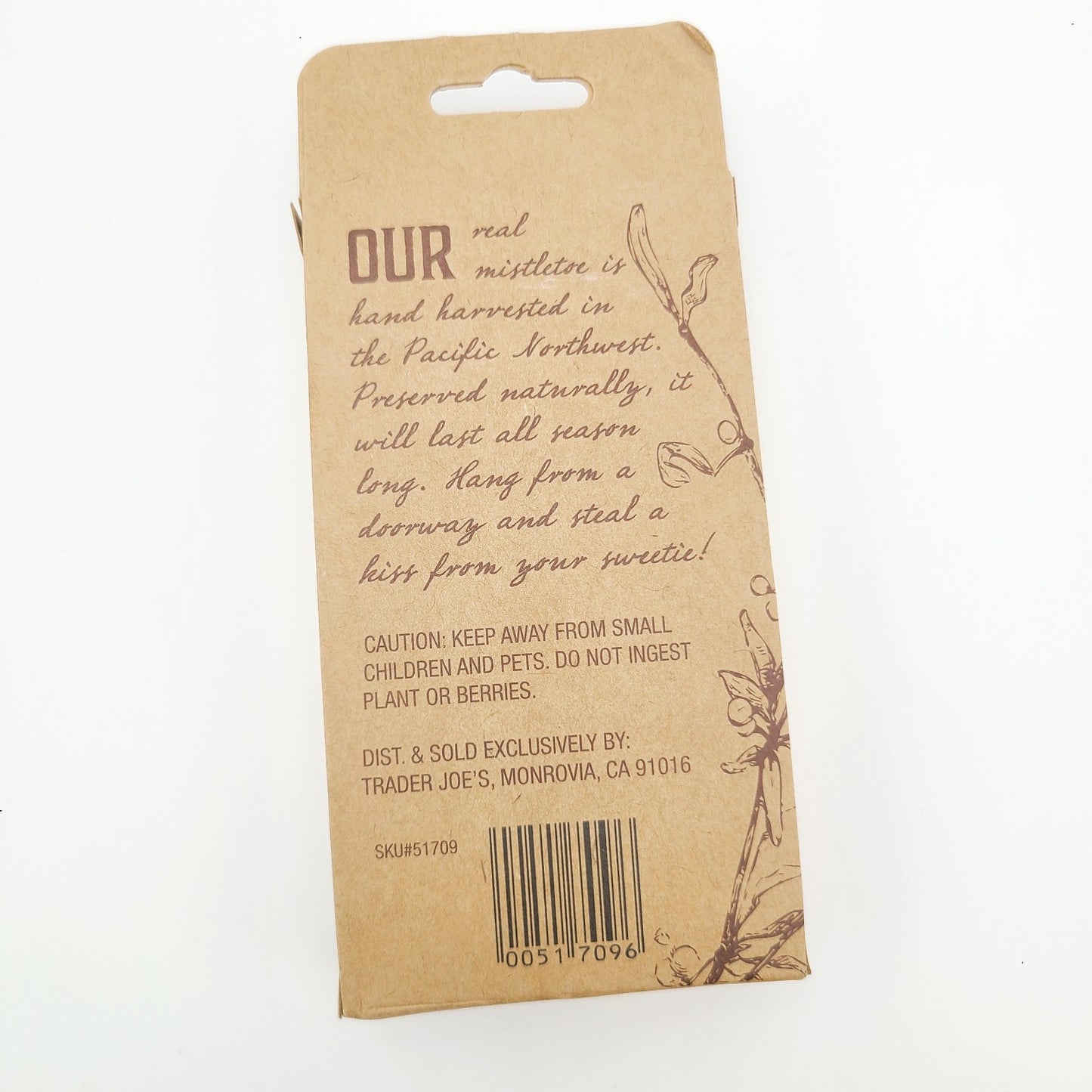 NEW Trader Joe's Real Mistletoe Gift Box Packaging Red Bow Naturally Preserved