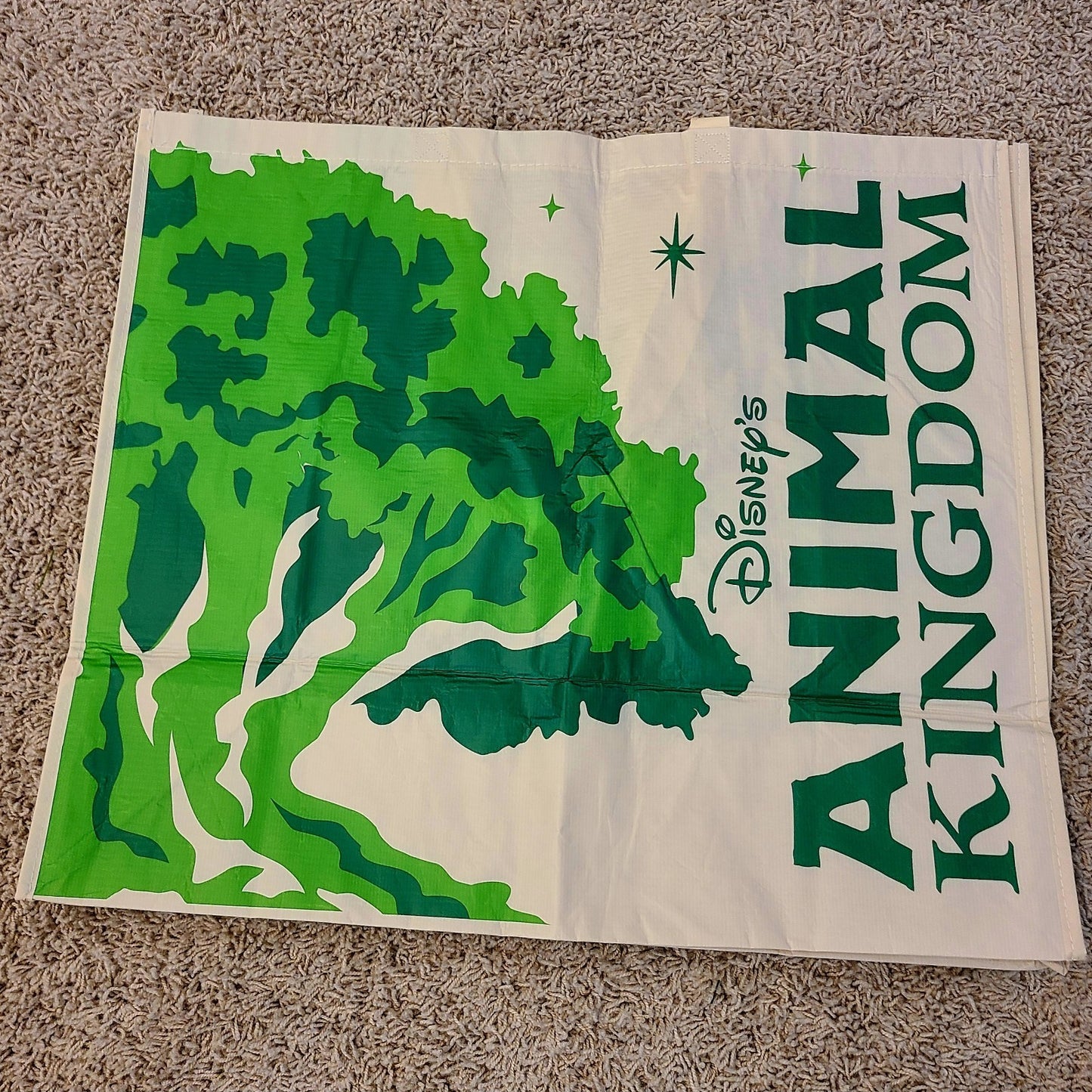*Medium & Large Reusable Bag Set* Disney World Park Animal Kingdom Tote Shopping