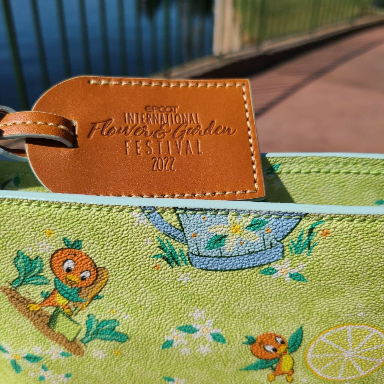 Disney Orange Bird Flower Garden Set Dooney & Bourke Crossbody Bag Spirit Jersey