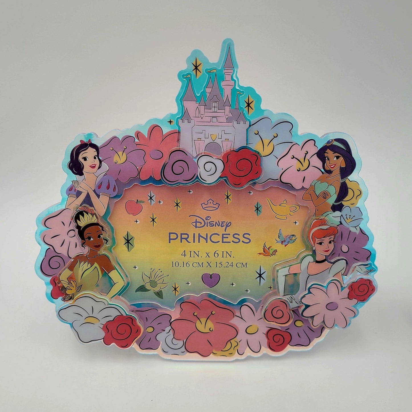 Disney Parks Princess 4" x 6" Picture Photo Frame Castle Cinderella Jasmine Snow
