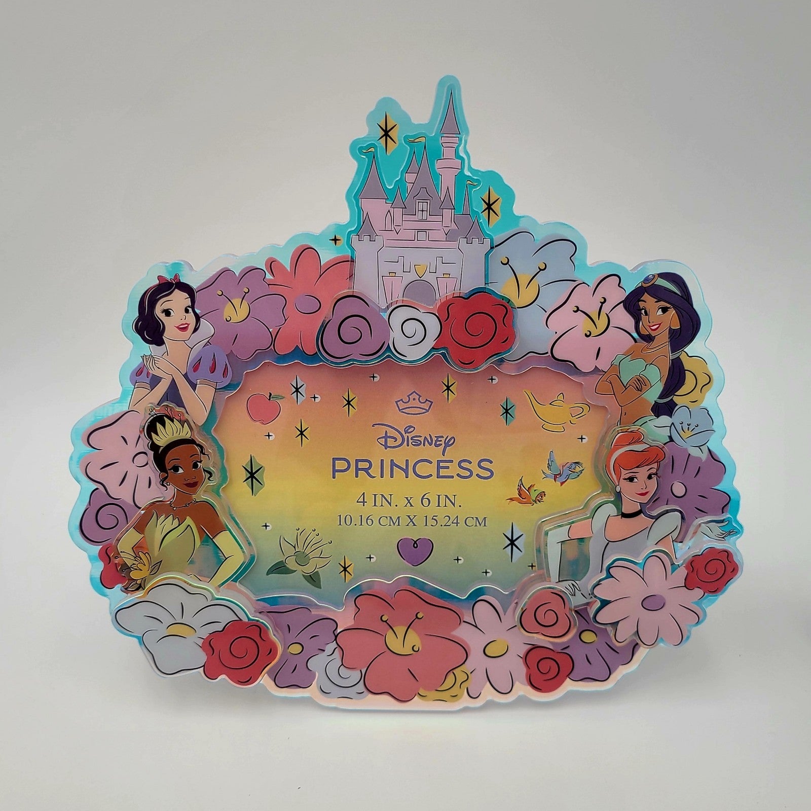 Disney Parks Princess 4" x 6" Picture Photo Frame Castle Cinderella Jasmine Snow