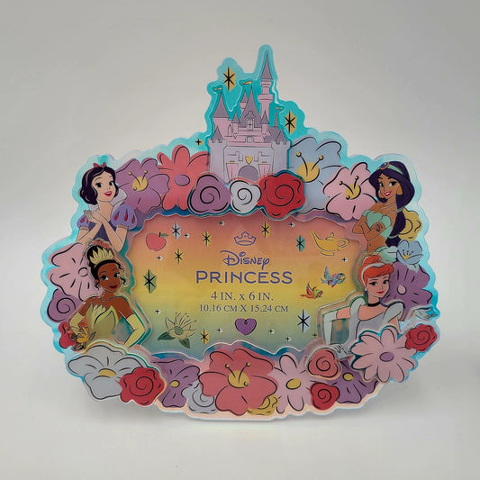 Disney Parks Princess 4" x 6" Picture Photo Frame Castle Cinderella Jasmine Snow