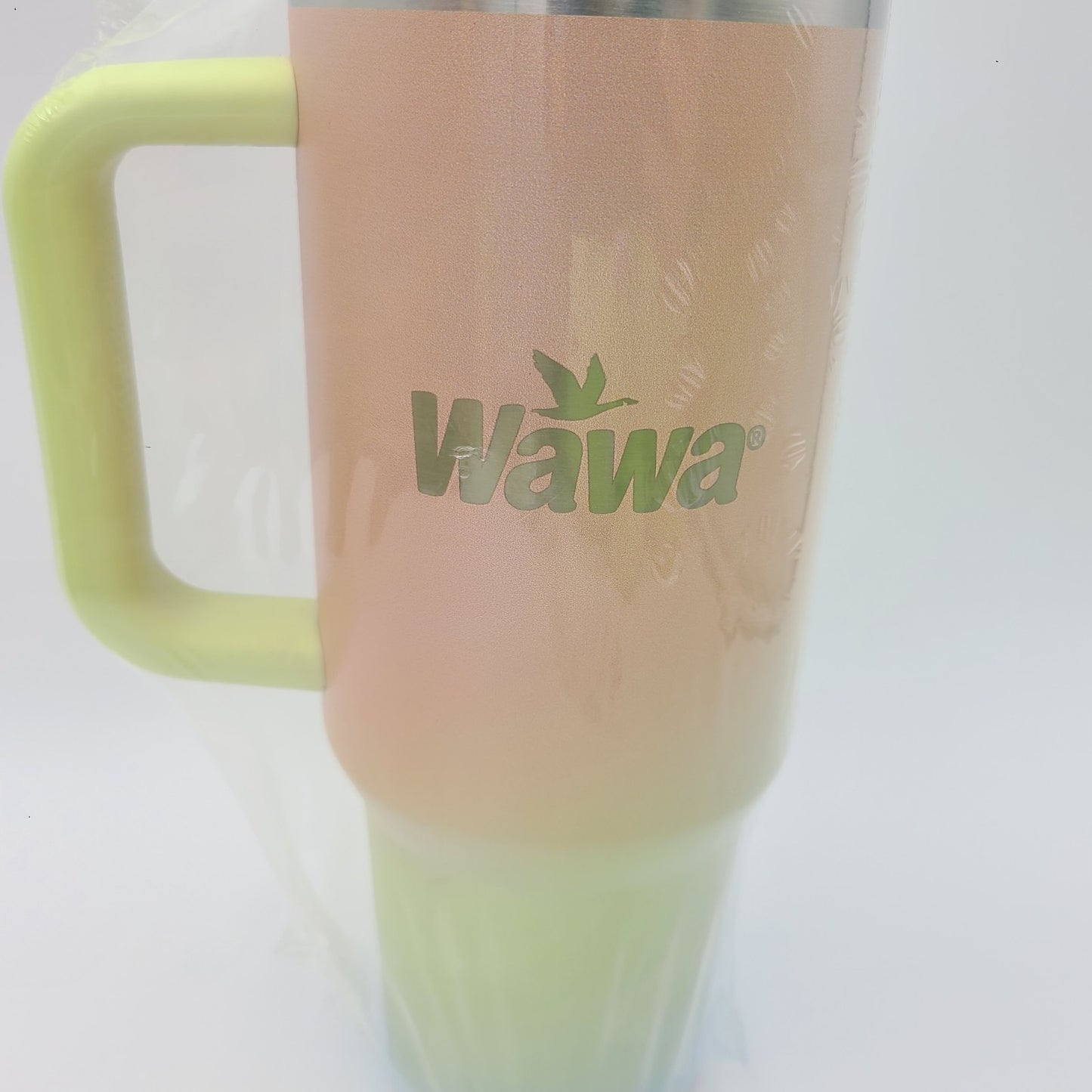 2026 WAWA Green Blue Orange XL Oasis Vacuum Tumbler Bottle Mug 40 oz  Limited LE