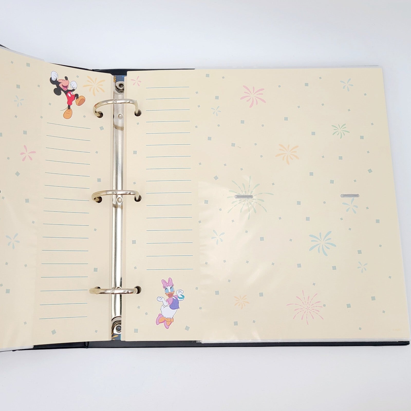 2025 Walt Disney World Parks Mickey Mouse & Friends Photo Album Castle Minnie