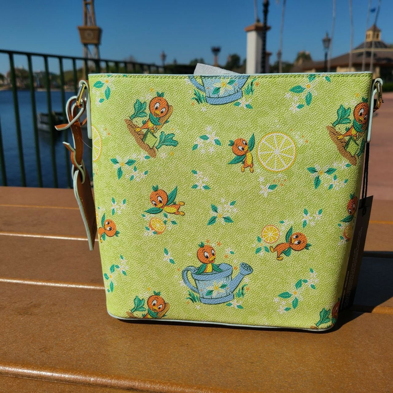 Disney Orange Bird Flower Garden Set Dooney & Bourke Crossbody Bag Spirit Jersey