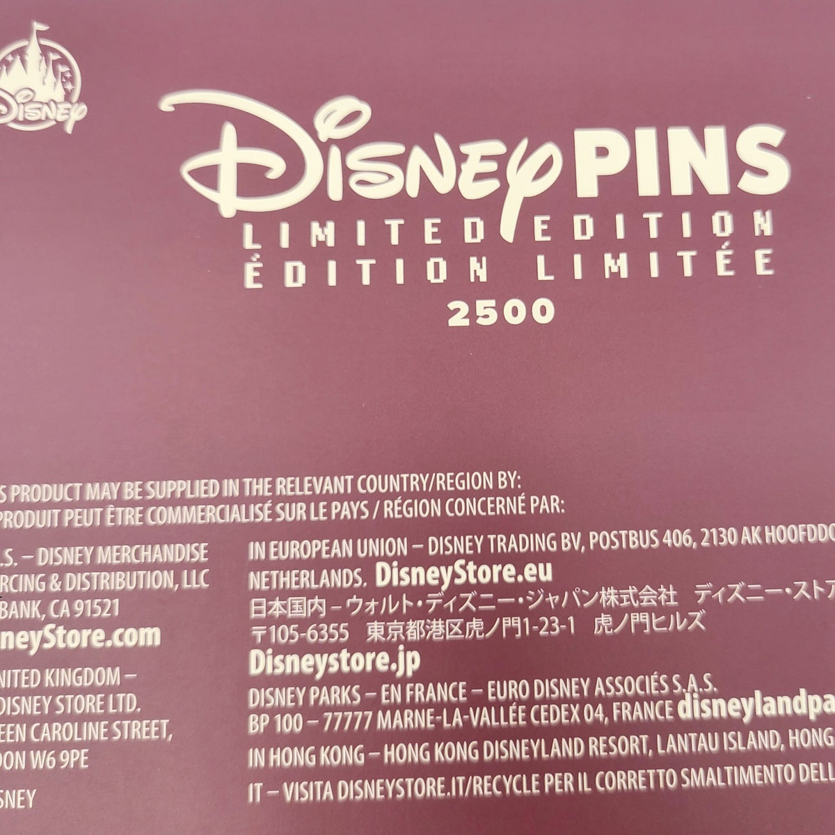 2026 Walt Disney World Park Digitize Map JUMBO Pin LE 2500 Castle Magic Kingdom