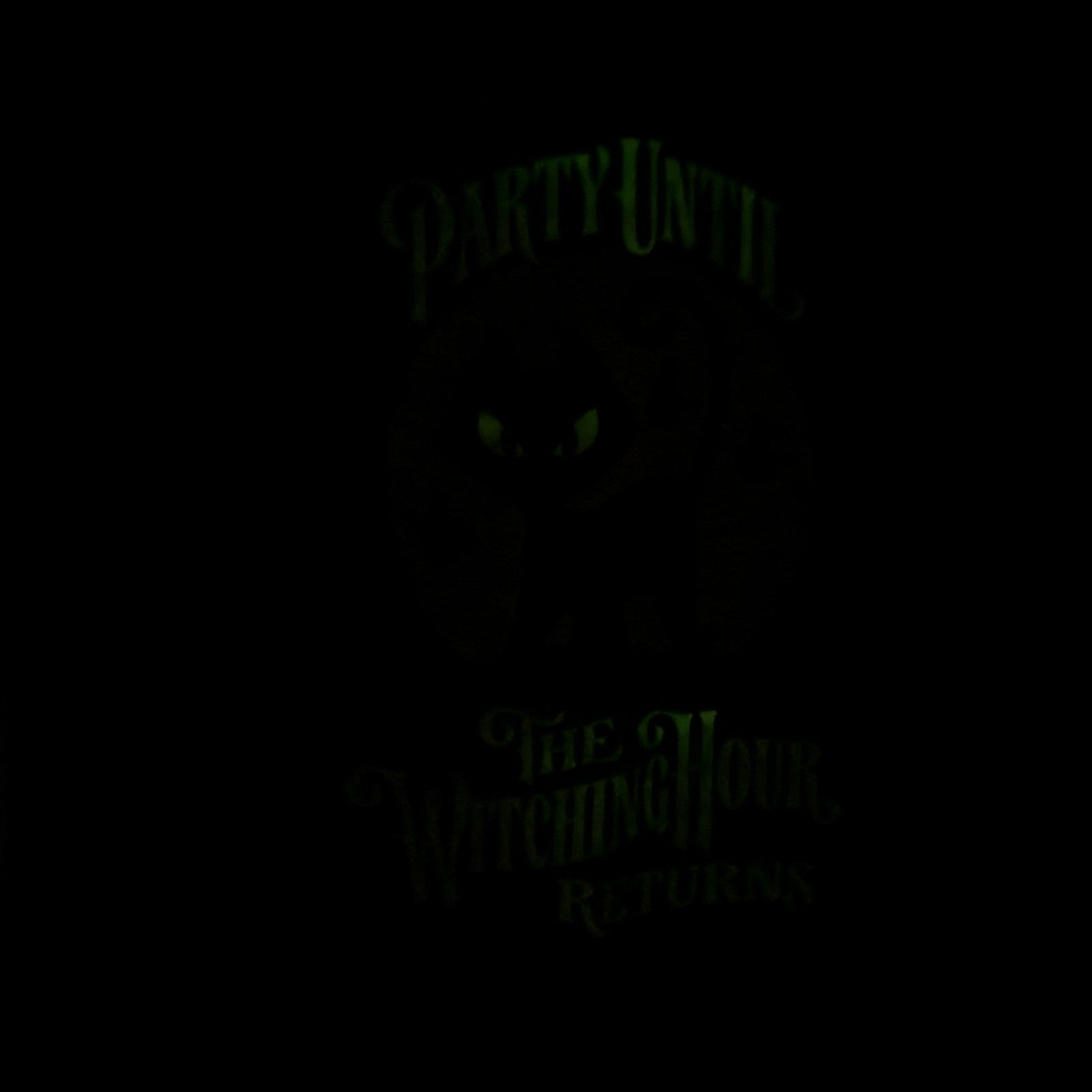 LARGE 2025 Disney Parks Hocus Pocus Not Scary Halloween party MNSSHP GITD Shirt