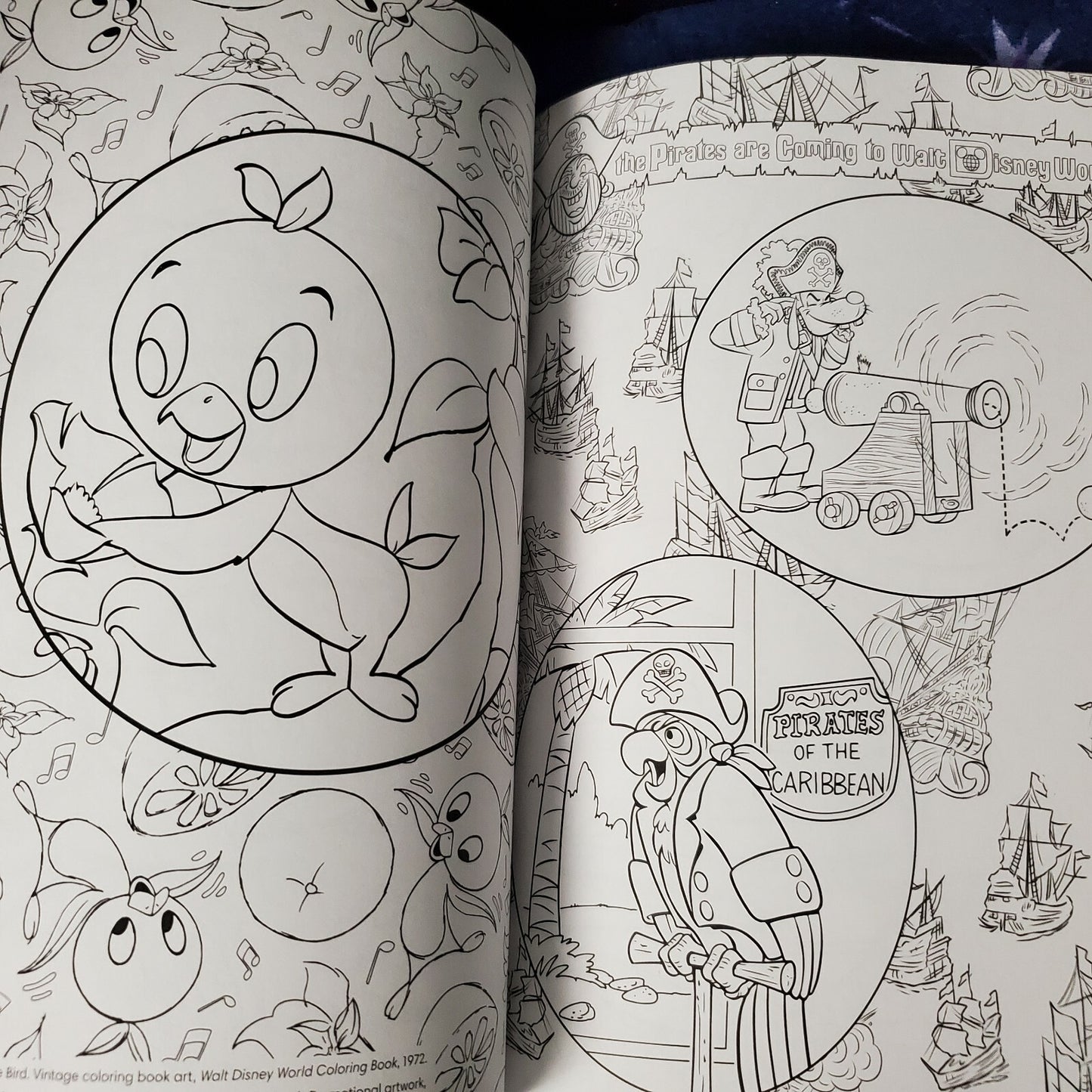 2021 Disney Parks Art of Coloring Walt Disney World 50th Anniversary Adult Book