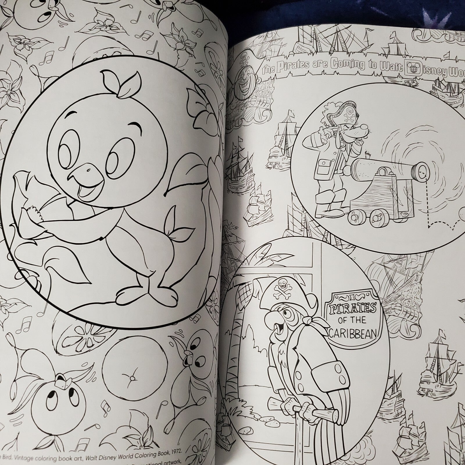 2021 Disney Parks Art of Coloring Walt Disney World 50th Anniversary Adult Book