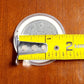 *Mickey Minnie Coin & Case* Disney Park 100 Years Silver Metal Medallion Castle
