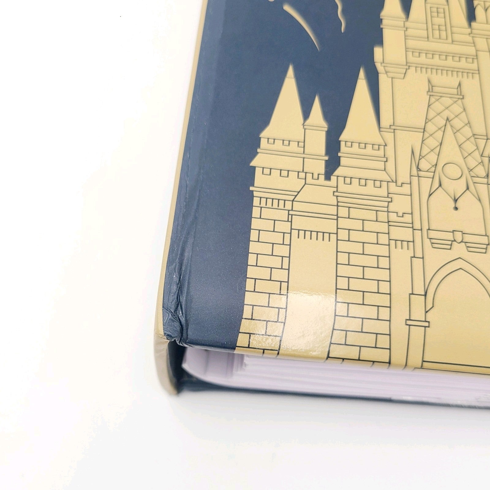 READ DESC 2025 Walt Disney World Parks Gold Fireworks Photo Album Castle Picture
