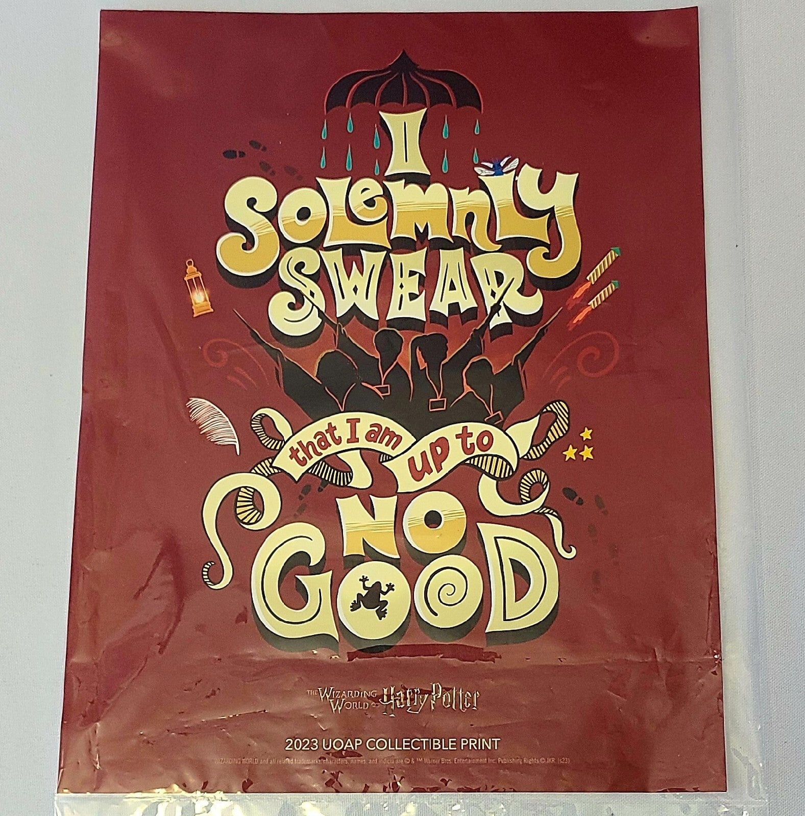 Universal Studio Harry Potter Passholder Collectible Print 2023 UOAP Mini Poster