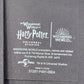 Epic Universe Harry Potter Ministry of Magic 4" x 6" Courtroom Picture Frame NEW