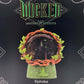 Universal Studio Wicked For Good Elphaba Defy Gravity Music Box Snow Water Globe
