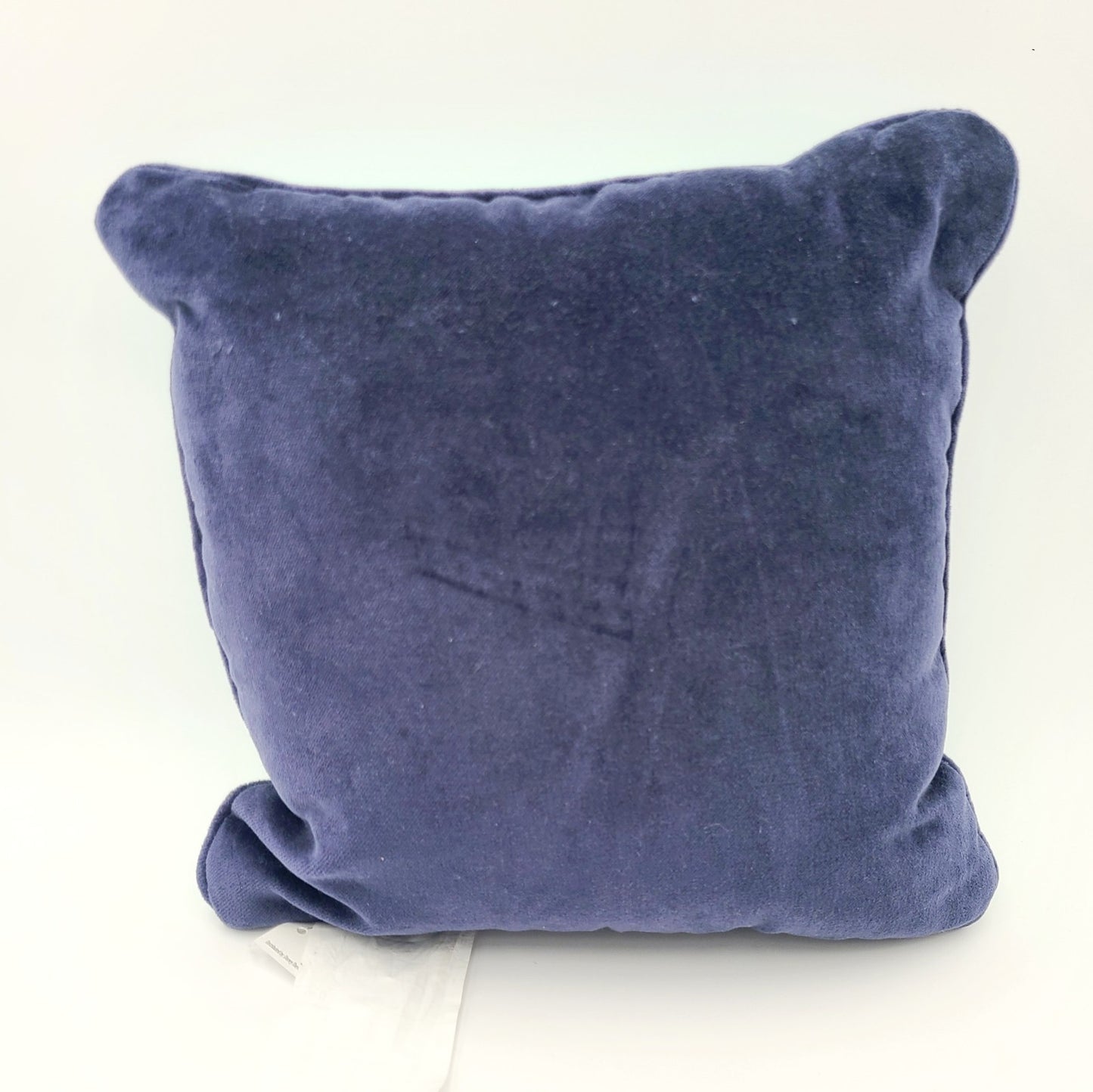 NEW Disney Parks 2026 WDW Rope Drop Park Hop Can't Stop Embroidered Throw Pillow