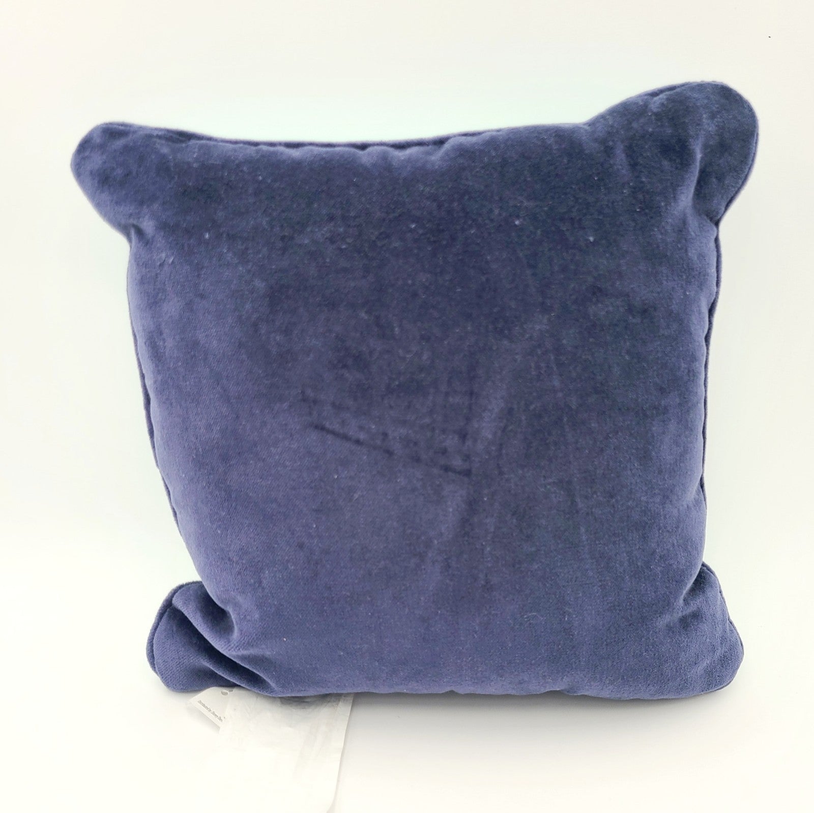 NEW Disney Parks 2026 WDW Rope Drop Park Hop Can't Stop Embroidered Throw Pillow