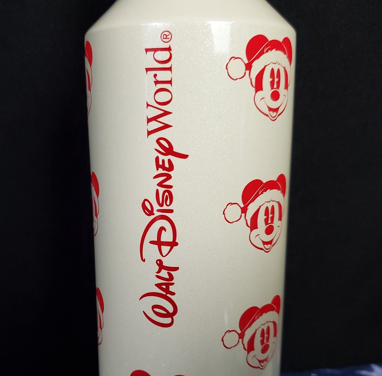 *2022 & 2023 Starbucks Metal Tumbler* Disney Parks Christmas Mickey Cup Holiday