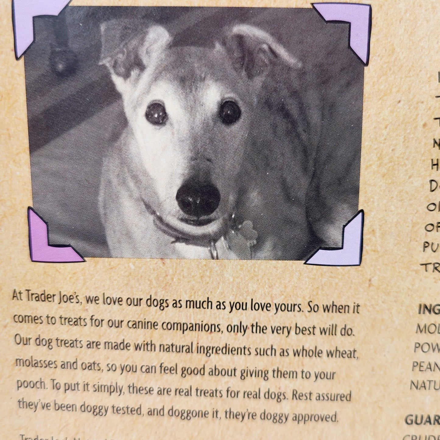 NEW Trader Joe's Dog Treats Peanut Butter Flavor For Big & Small Dogs (24 OZ)