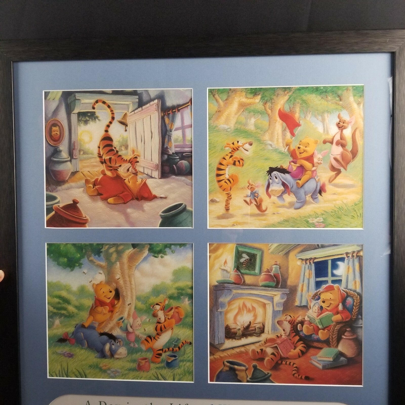 SIGNED/Autographed Disney Parks Winnie the Pooh Framed Art Artwork Piglet Roo