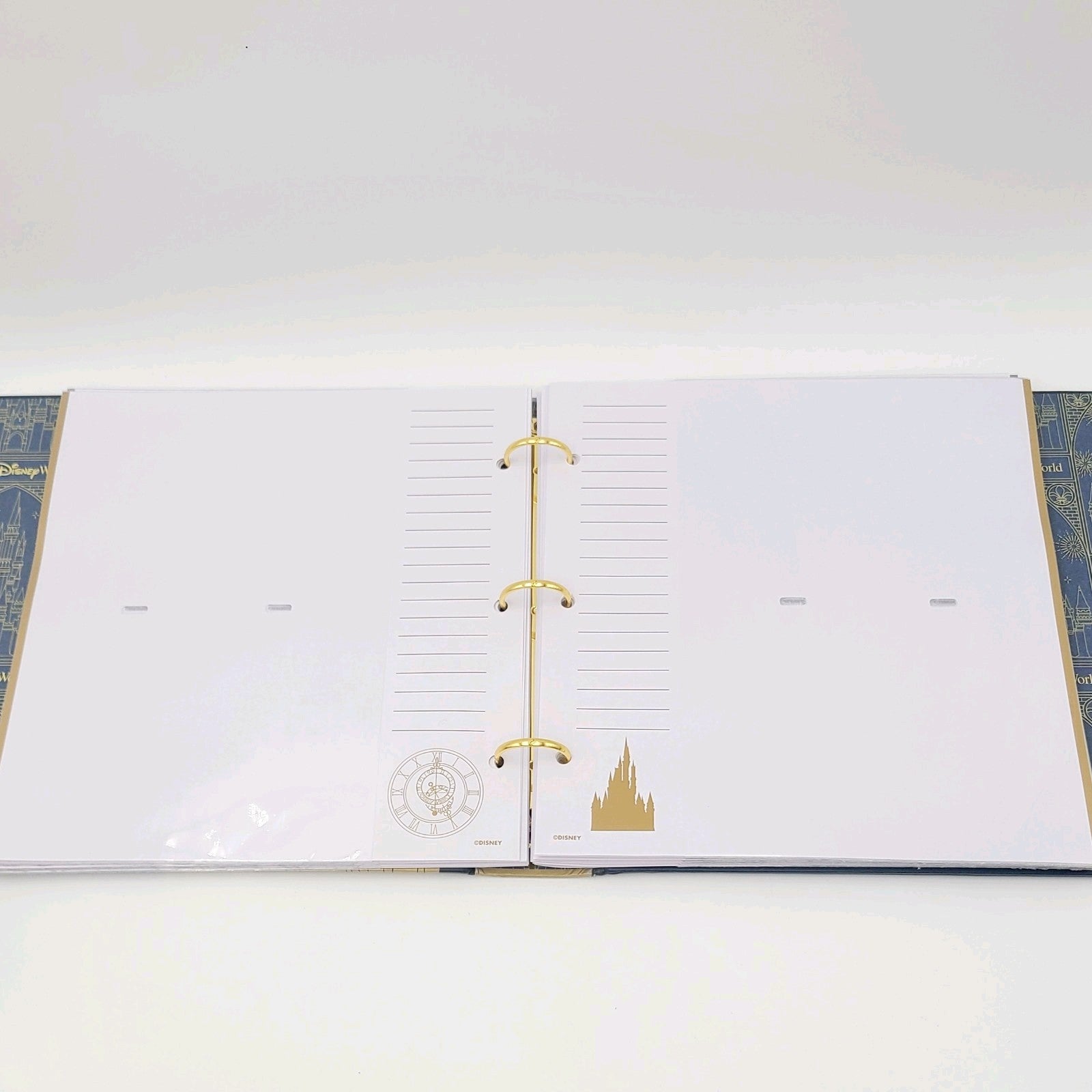 READ DESC 2025 Walt Disney World Parks Gold Fireworks Photo Album Castle Picture